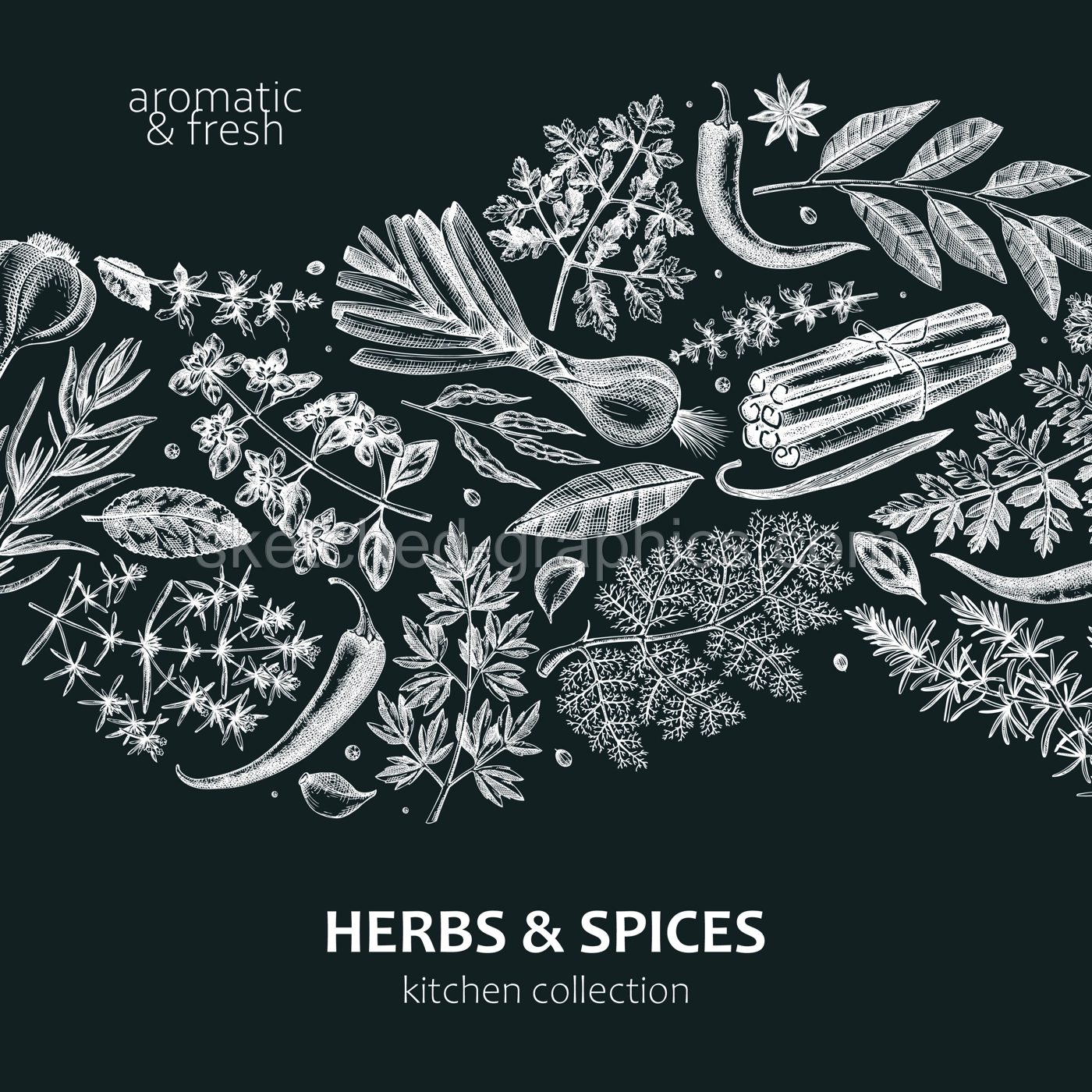 Hand-drawn herbs and spices wave design. Hand-sketched food card on chalkboard. Vintage aromatic plants hand-drawing. Kitchen herbs and spice banner template in sketched style for menu or packaging Illustration
